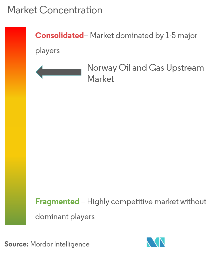 Equinor ASA、Aker BP ASA、道达尔 SA、康菲石油公司、荷兰皇家壳牌公司、Our Energy AS